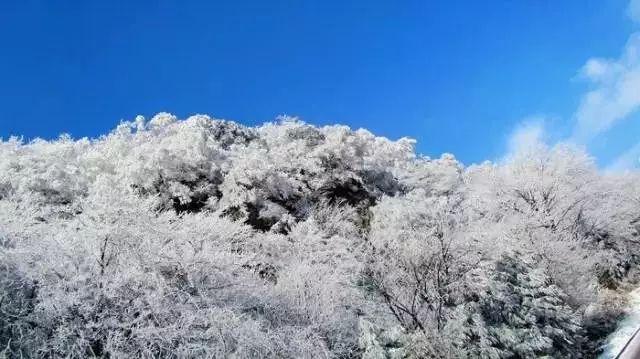 任振鹤参加武威代表团审议